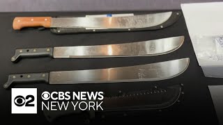 Nassau County working with ICE to have dozens of alleged gang members deported