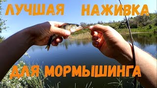 ЛУЧШАЯ НАЖИВКА ДЛЯ МОРМЫШИНГА! Мотыль Berkley PowerBait Maxi Blood Worm