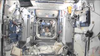 Space Station Live: Subregional Bone Loss