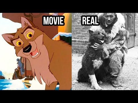 Video: The Most Famous Dog