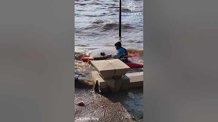 Kayaker Saves 2 Baby Squirrels from Drowning