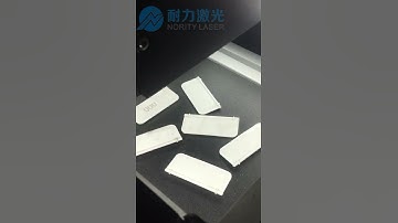 Nority Laser Vision Positioning Marking Machine Marking Serial Number Automatically Jump Number