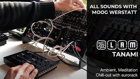 TANAMI: Chillout music with MOOG WERKSTATT-01 & CV EXPANDER
