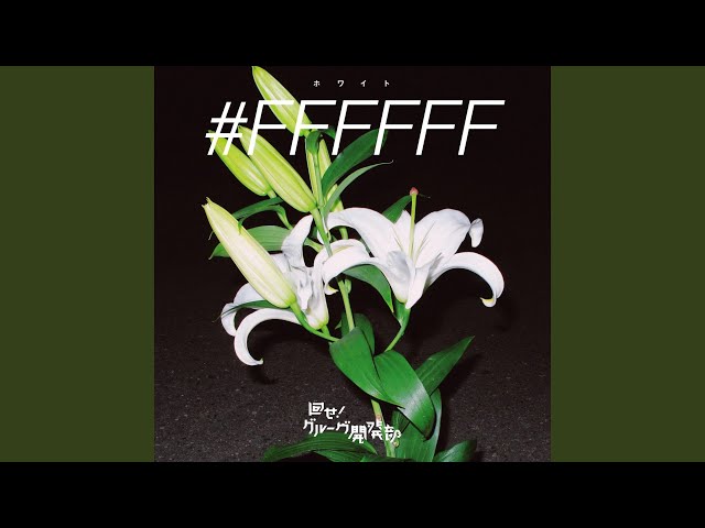 #FFFFFF