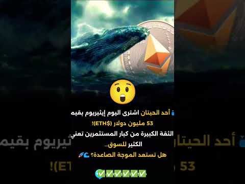 الحيتان تشترى عملة ايثريوم بقيمة تتجاوز 53 مليون دولار سوف نشهد انفجار في سعر