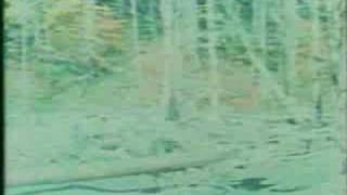 The Patterson-Gimlin Bigfoot film