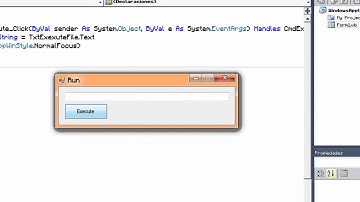 How to run programs on Visual Basic 2010