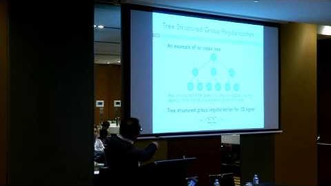 Structural Graphical Lasso for Learning Mouse Brain Connectivity