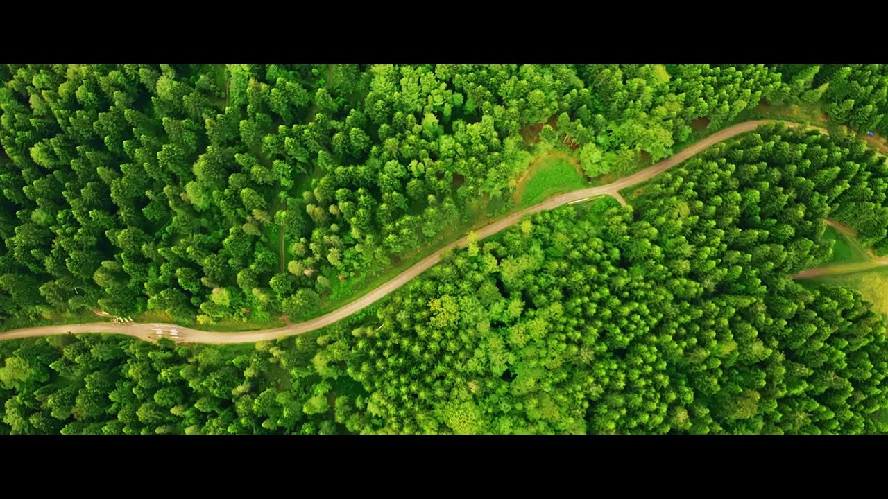 Oak Furniture Store & Sofas Mt Wellington YouTube