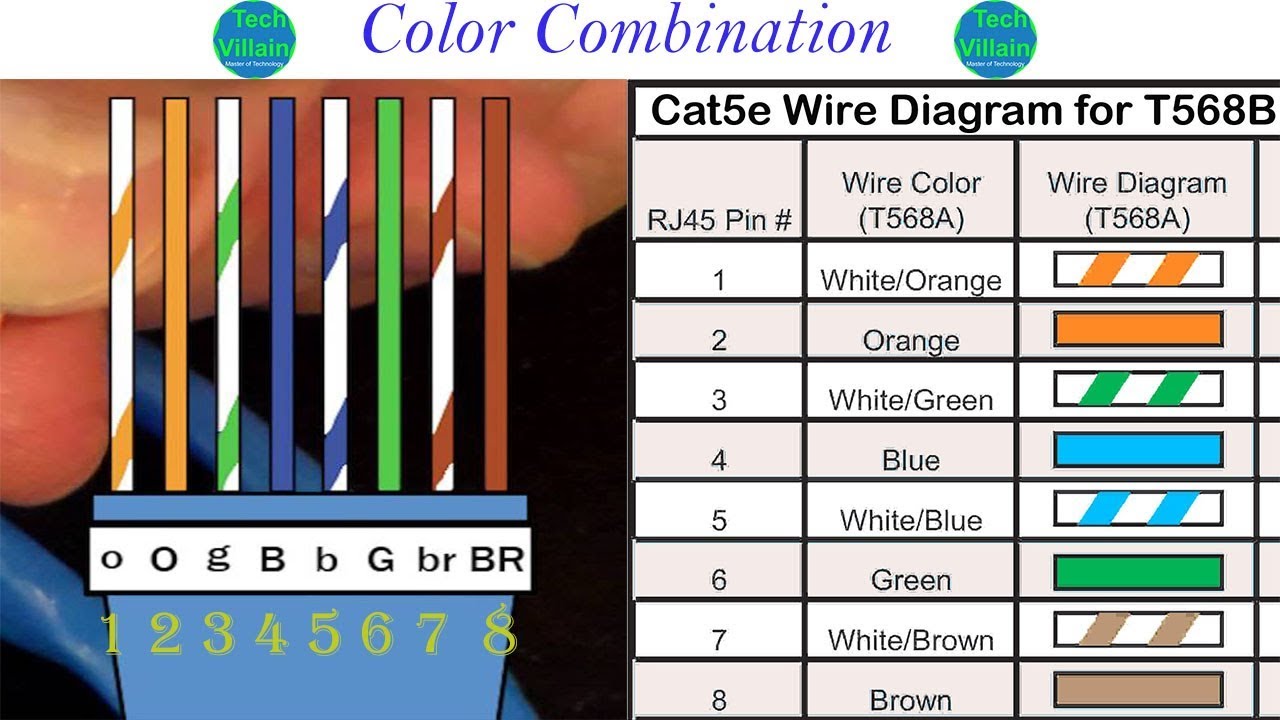 eldernewman56: Cat 6 Color Combination