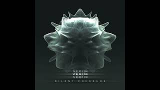 Vegim - Static Operator