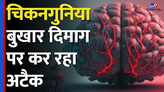Chikungunya virus हो रहा है mutate, अब बुखार के साथ brain पर कर रहा attack #tv9d screenshot 2