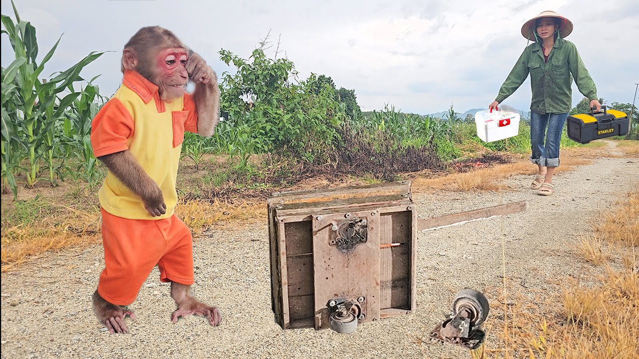 SU cry had incident, find mom for help