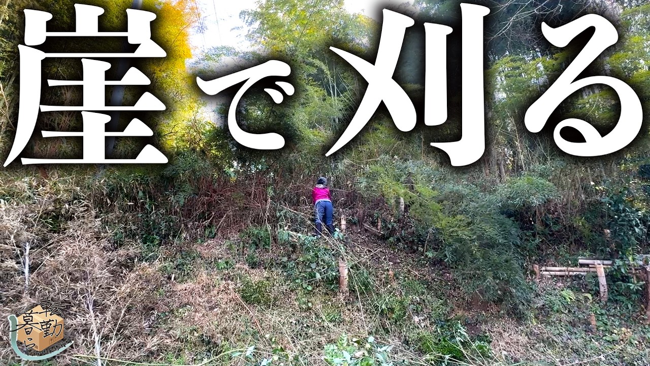 【草刈り】高所恐怖症には無理すぎて放置してた崖の草刈りに挑む主婦【田舎暮らし】