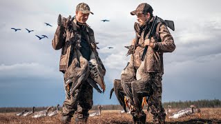 видео: Охота на гуся/Тестируем новейшие модели гусиных чучел /Архангельск 2025 картинка: Охота на гуся/Тестируем новейшие модели гусиных чучел /Архангельск 2025