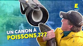 Un canon à poissons ?! ???? #shorts