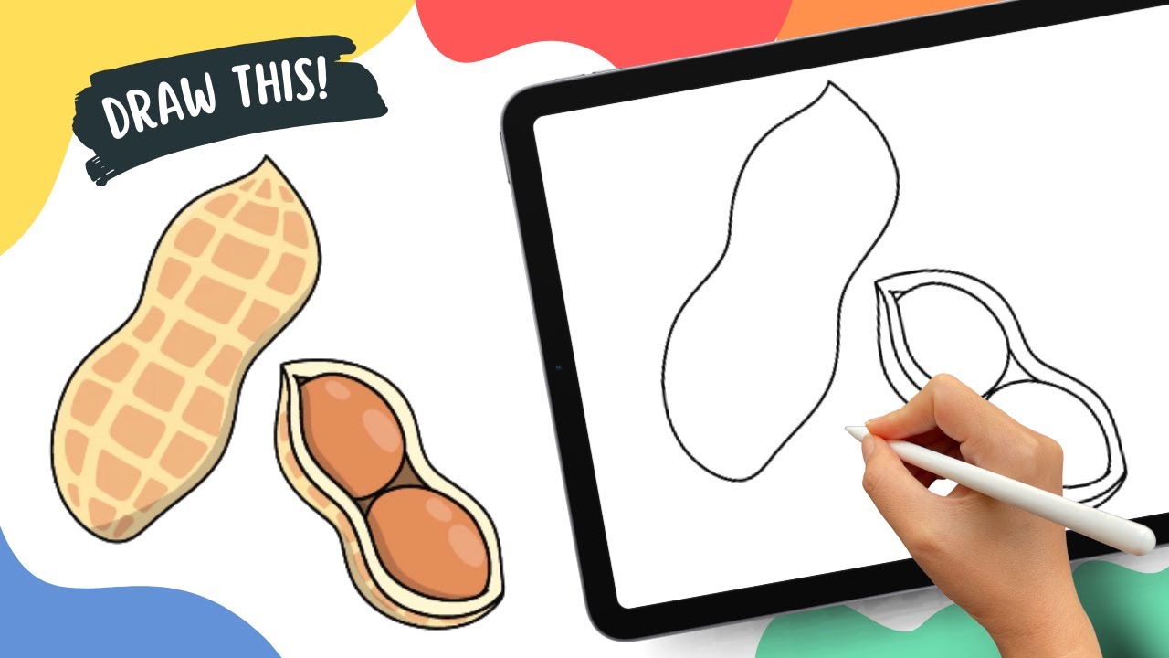 Peanut – Easy Cartoon Drawing Tutorial