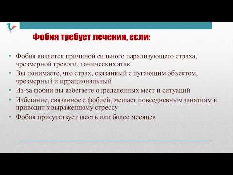 Тревожно-фобические расстройства. Изолированные фобии // «Только без паники!»