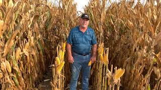 DKC65-95RIB (Wathena, KS 9.24.20)