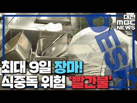 최대 9일 장맛비..식중독 위험 '빨간불'/대전MBC