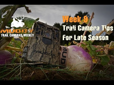 Trail Camera Tips for the Late Season | Trail Cameras Weekly "Week 9"