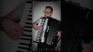 The Lonely Shepherd #akordeon #roland #akordeonista #acorrdion #indian