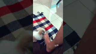 Biel Oliveira Feet 4