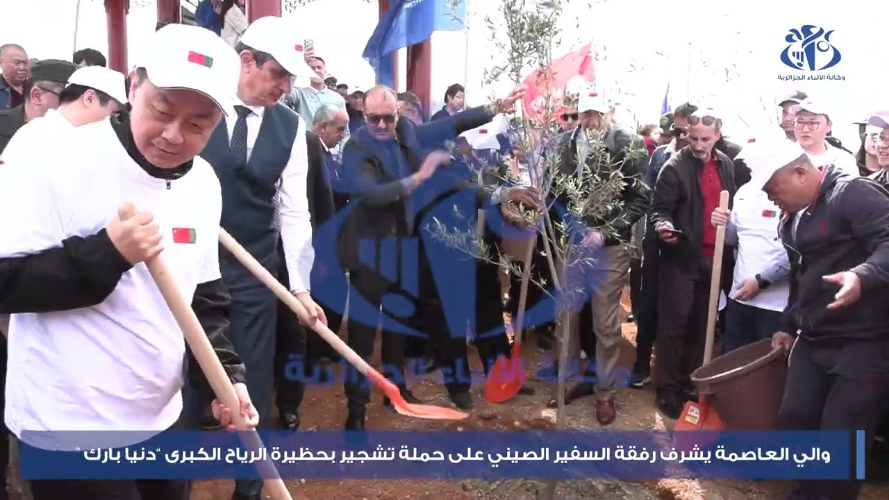 والي العاصمة يشرف رفقة السفير الصيني على حملة تشجير بحظيرة الرياح الكبرى - دنيا بارك