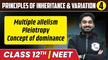 Principles of Inheritance & Variation 04 | Multiple Allelism | Pleiotrophy | Class 12th/NEET