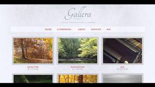 Preview Gallera - Photo Gallery/Portfolio Theme for Tumblr