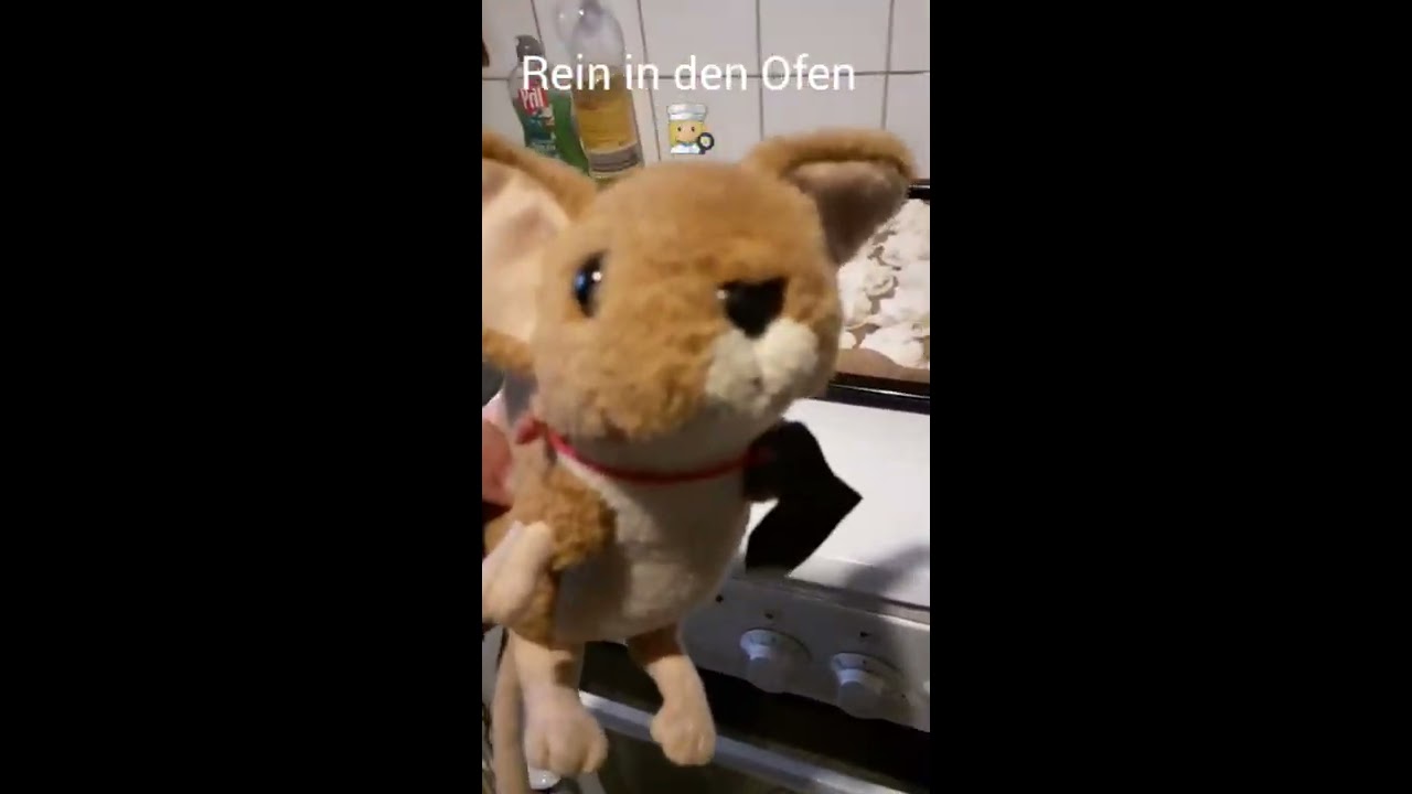 Die Springmaus im Advent (2020)