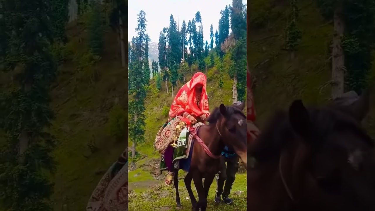 Gojri geet gojri phari song  