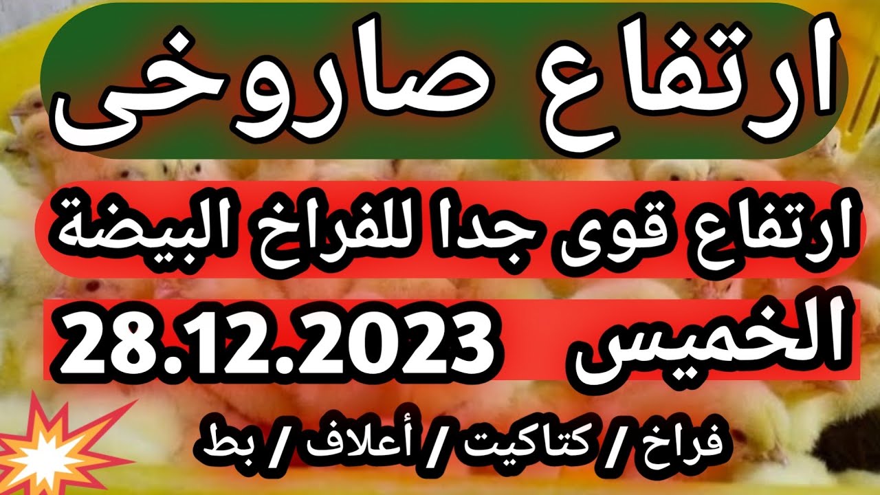 اسعار الدواجن اليوم الخميس 28.12.2023 اسعار الفراخ البيضاء #فراخ #دواجن اسعار الدواجن اليوم الخميس 28.12.2023 اسعار الفراخ البيضاء #فراخ #دواجن