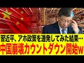【アホすぎた中国共産党】人民ブチギレ！中国で止まらない大規模クーデターの行方とは？【ゆっくり解説】