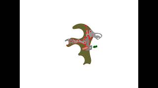 Compound Bow Stan ShootOff release