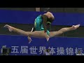 2014 World Artistic Gymnastics Championships Nanning Women's Balance Beam Final WAG BB EF