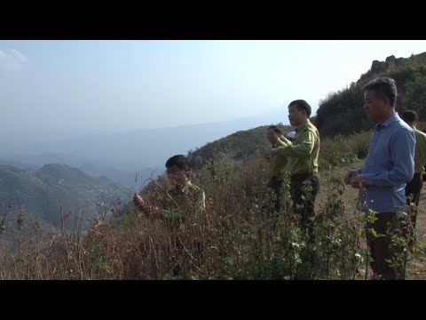 Video Vùng cao Yên Bái tích cực phòng chống cháy rừng trong... - youtube