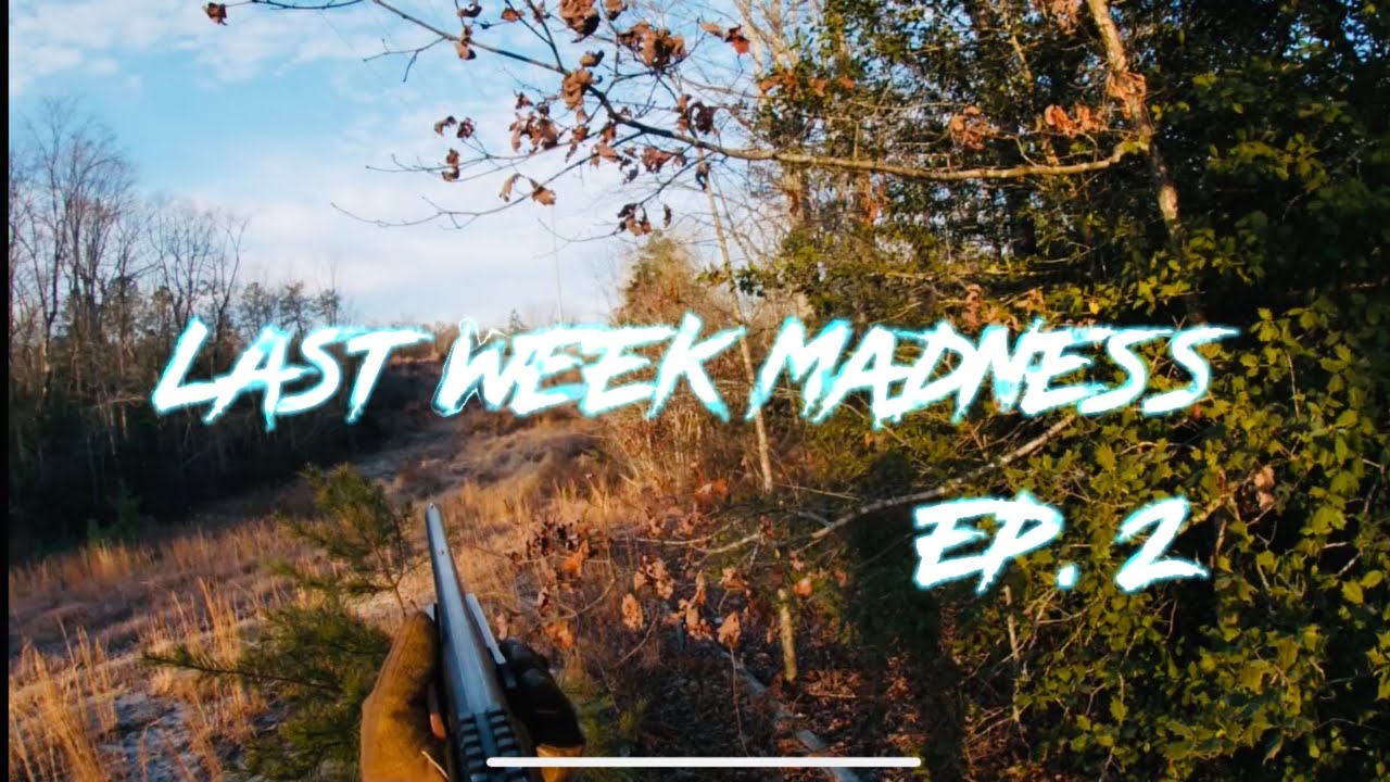 Deer Dog Drives 2021 EP. 2 (Kill Shot)