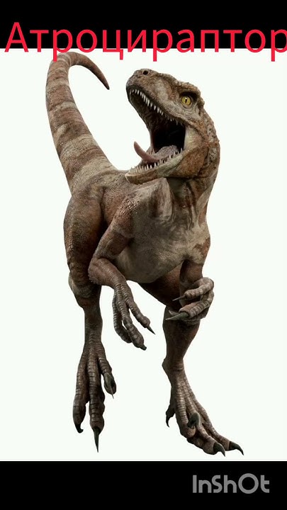 рапторы мира юрского периода#jurassicworld#хочуврек#рапторы - YouTube
