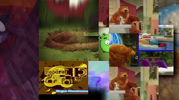 387 shuric scans are with slides