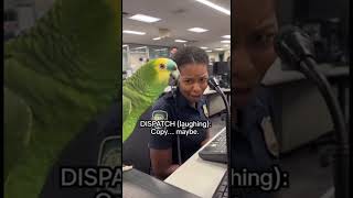 Parrot &amp; Cops - Parrot Calls Dispatch for Snacks #parrot #police #shorts #cops