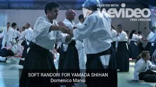Soft Randori for Yamada Shihan - AIKIKAI TEST screenshot 5