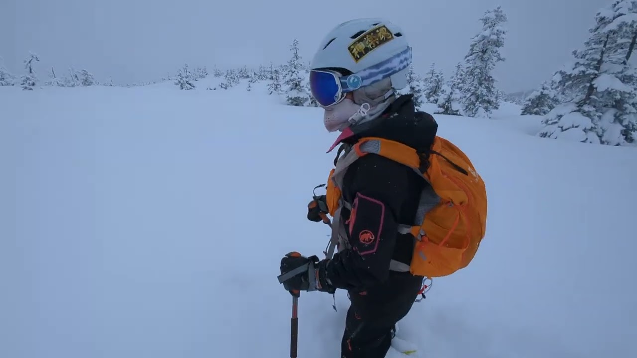 MEGA-MOOCHI GITTIN' AFTER IT, SHREDDIN DIAMOND DUST DOWN THE BLUE SIDE OF BEAR 