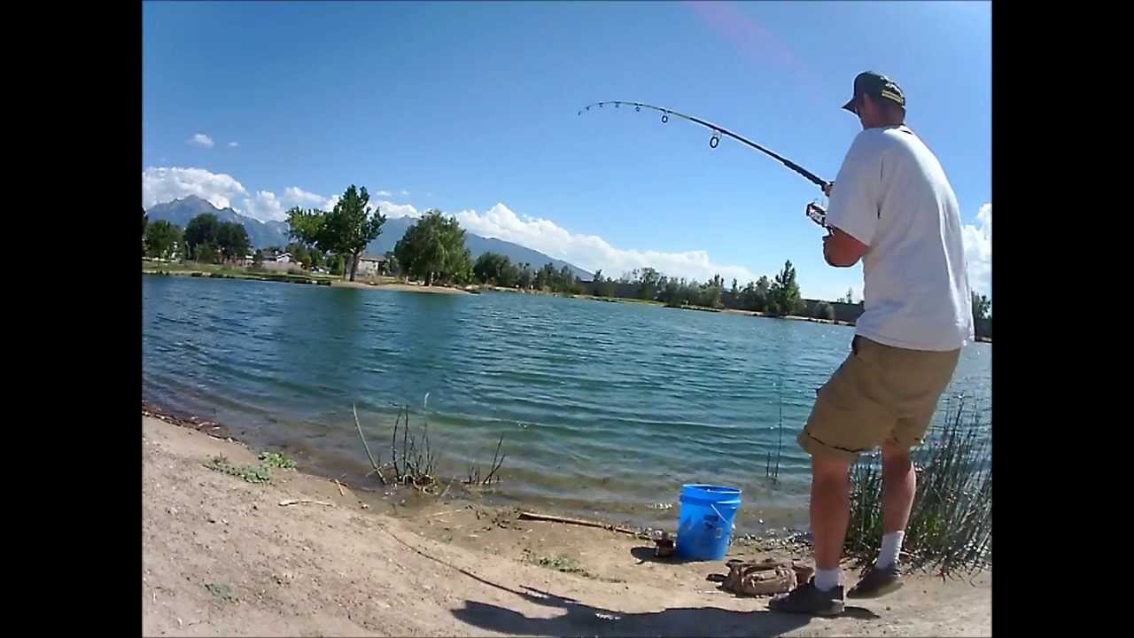 Afternoon Channel Cats Fishing Trip Willow Pond 9/5/13 YouTube