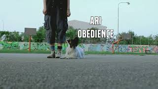 ari obedience ja vubec nevim stejne to natocim znova este