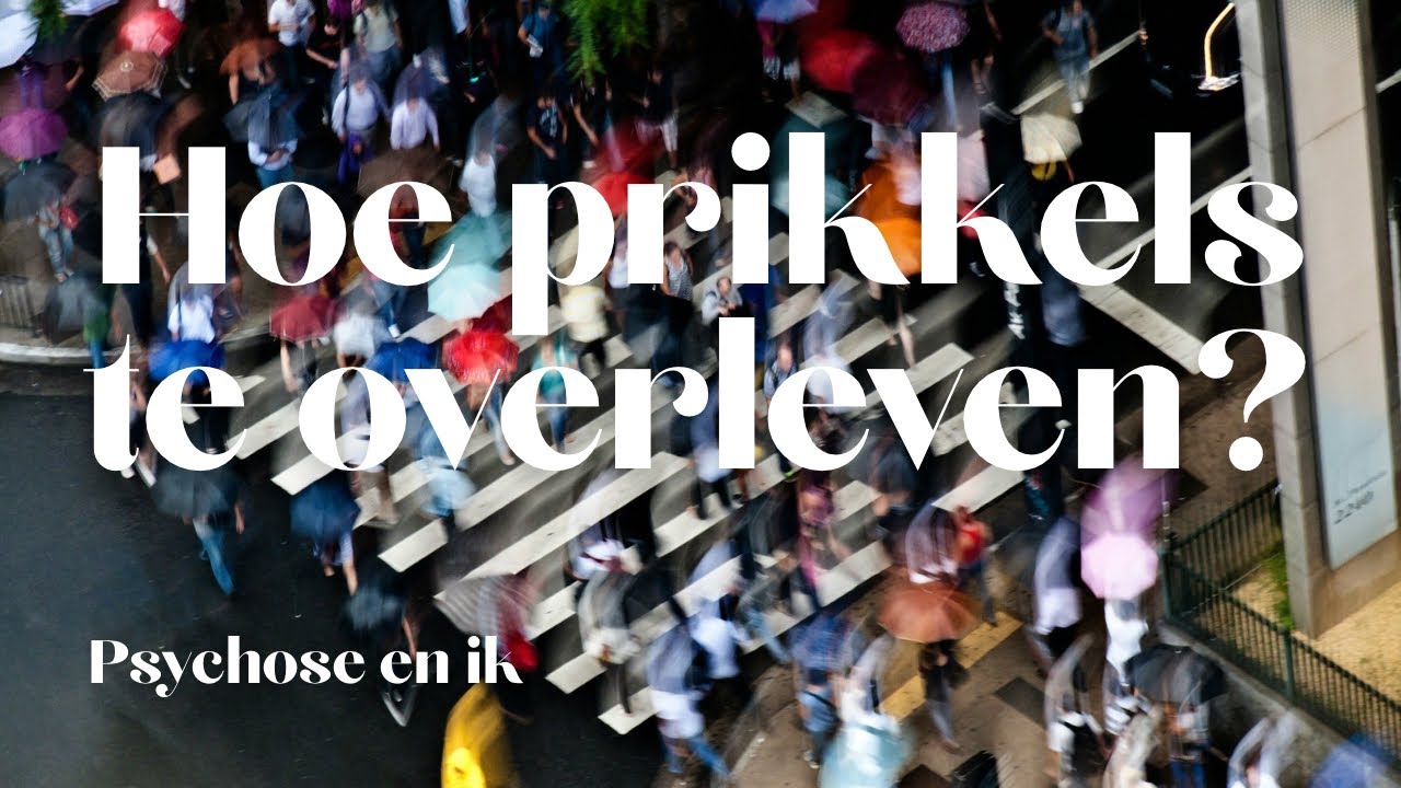 Hoe prikkels te overleven? | Psychose en ik #mentalegezondheid #psychiatrie #psychose