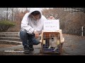 🐶 abandoned dog in a box | social experiment