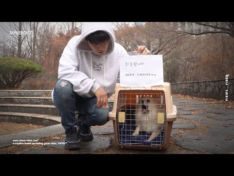 🐶-abandoned-dog-in-a-box-|-social-experiment
