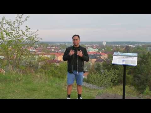 Nyköping on 19 May 2017 --- a very quick introduction.