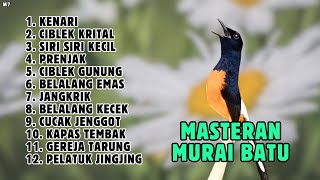 🔴 MASTERAN MURAI BATU GACOR MATERI BURUNG KECIL DAN KASARAN JEDA SEPERTI DI ALAM LIAR || 872